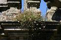 Bretagne (229)